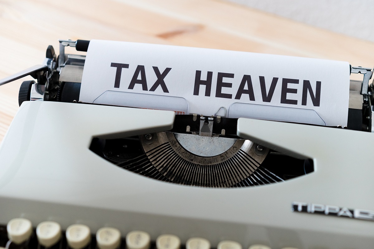 accountants for software developers